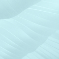 Ice Blue