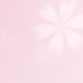 Sakura Pink
