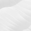 Ice White