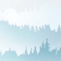 Misty Forest