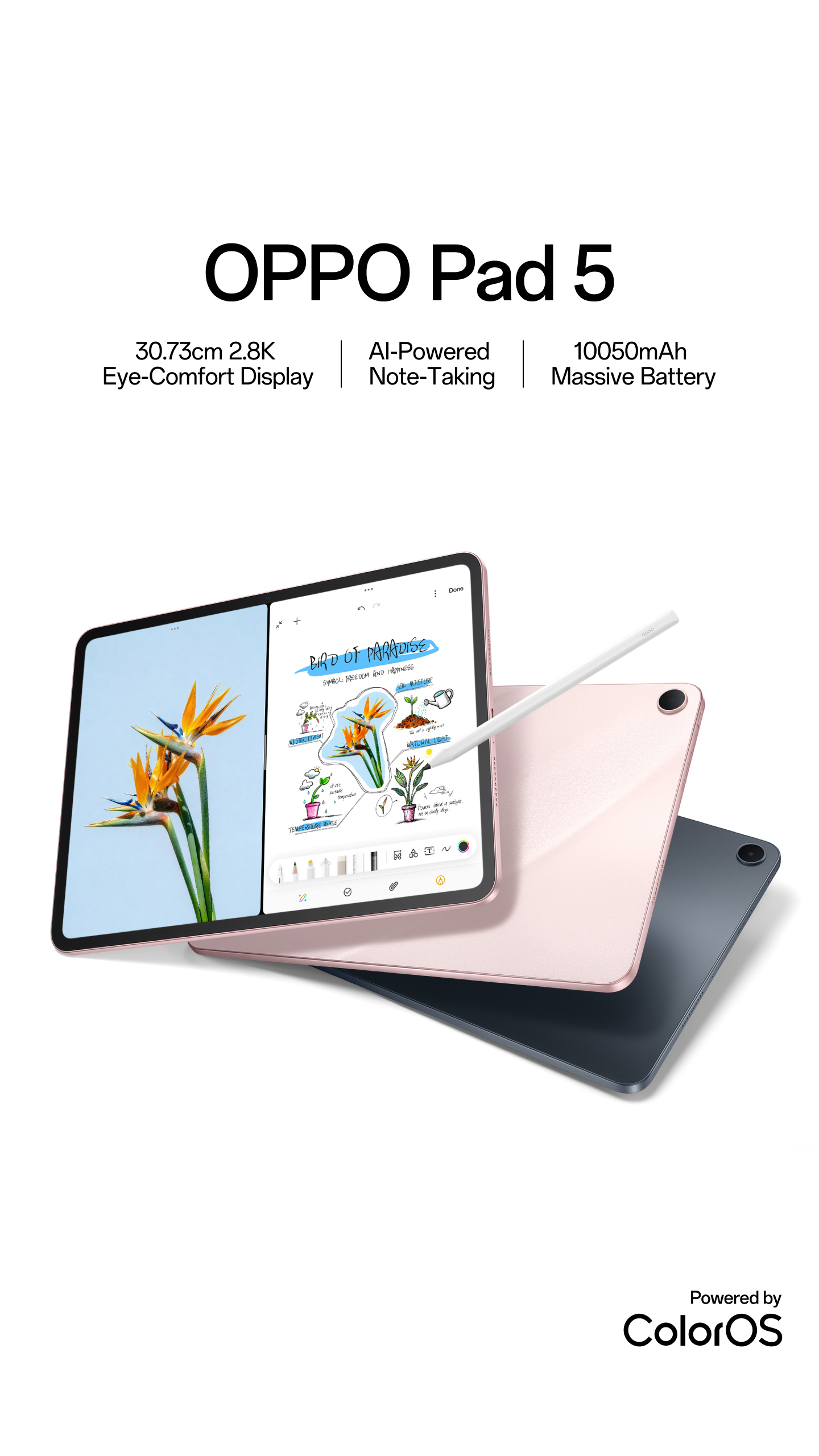 OPPO Pad 5 12.1インチ8GB 256GB グレー　ケース付き OPPO Pad 5 - 12.1 Inch 2.8K Eye-Comfort Display | OPPO MKT - OPPO